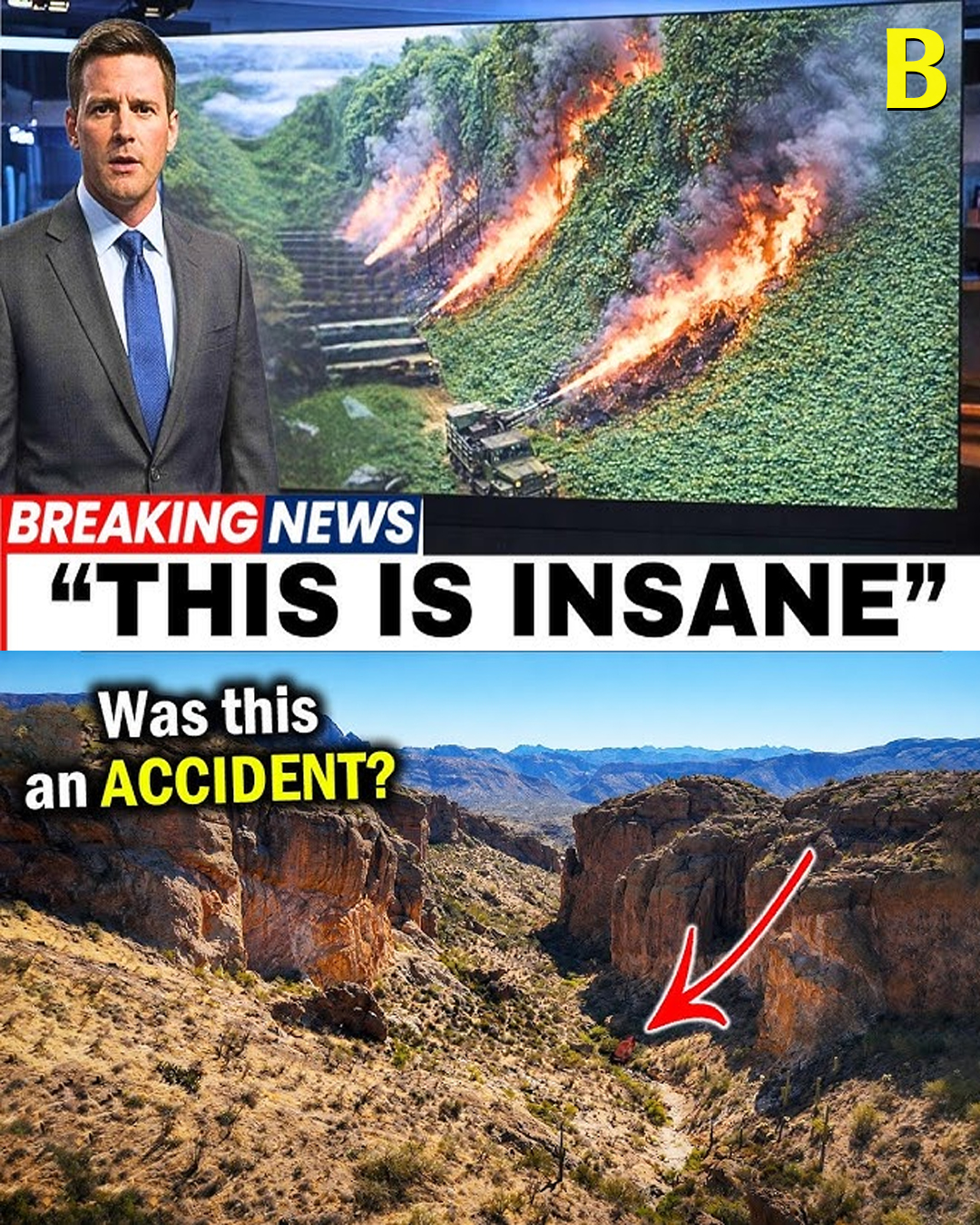 Alabama Released a Wild Solution to Destroy Kudzu — What Happened Next Nobody Expected