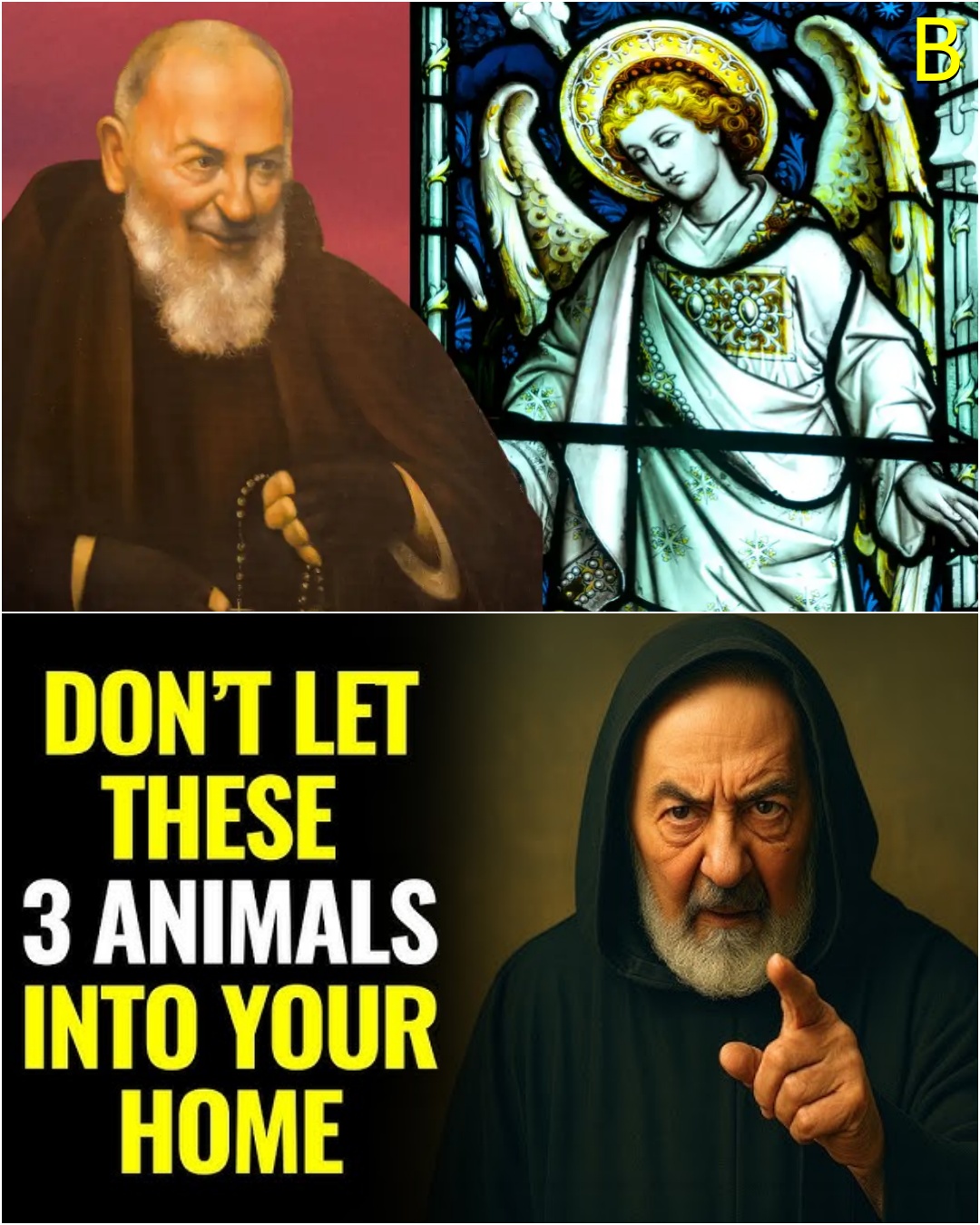 Father Pio reveals: 3 animals that will approach you when your guardian angel is nearby.