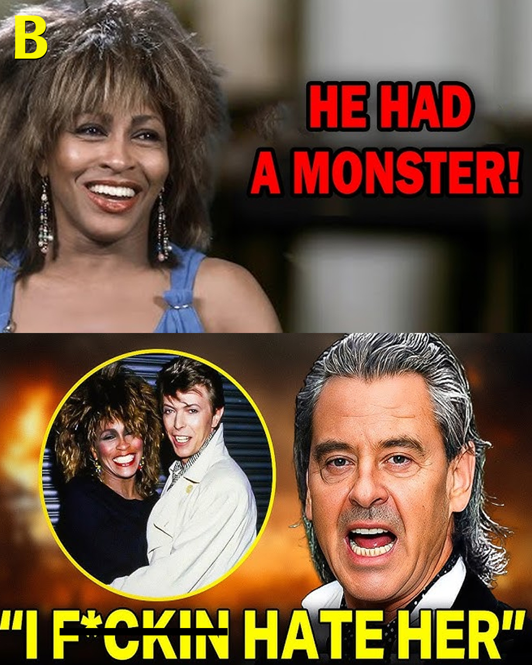 After Decades, Tina Turner Admits the Artists She Secretly Desired