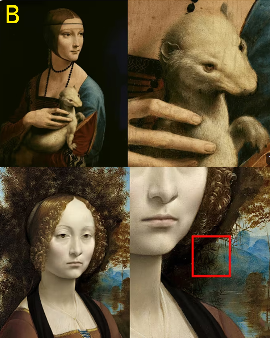 Another Proof That Leonardo da Vinci Was a Genius
