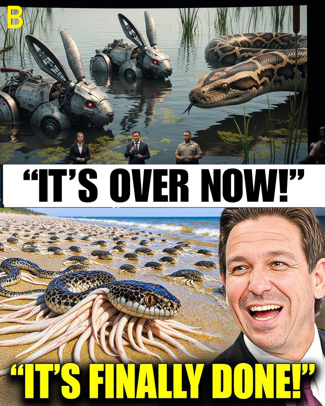 Footage From Florida’s Anti-Python Project Reveals the Aftermath NOBODY Expected